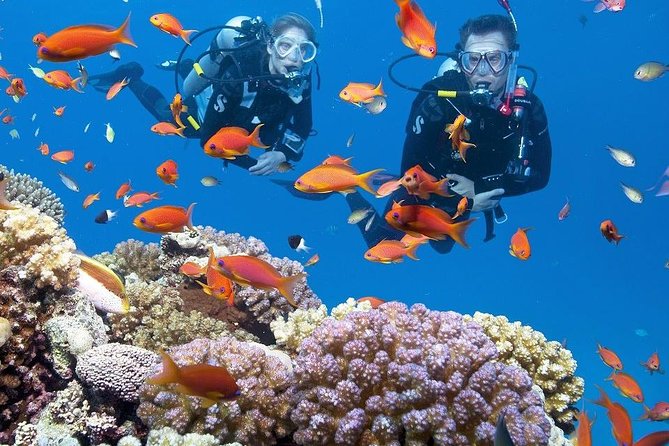 Intro Scuba Diving Experience in Hurghada - Location and Duration