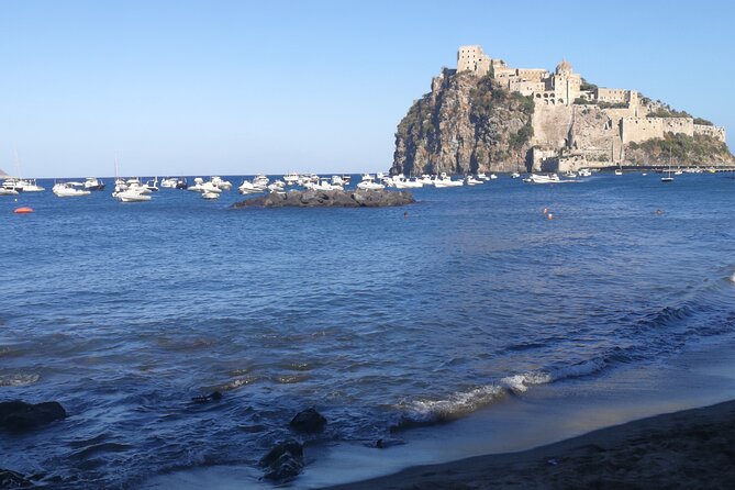 Ischia Private Day Trip With Guide and Driver From Naples Port - Included Services