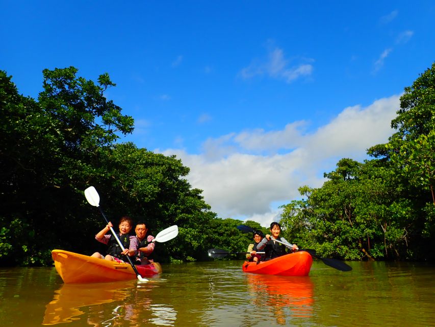 Ishigaki Island: 2-Hour Miyara River Kayaking Tour - Experience Highlights