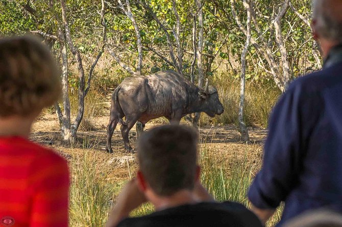 Isimangaliso Wetland Park, Full Day Tour - Pick-up and Drop-off