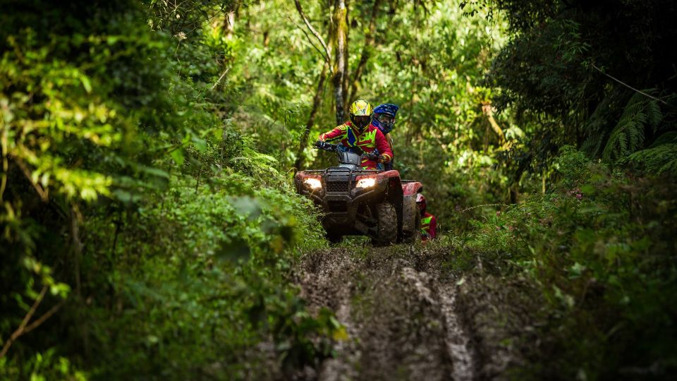 Istanbul: Belgrad Forest ATV Tour With Ziplining Option - Activities Overview