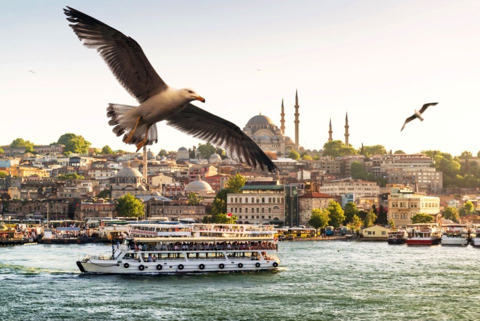 Istanbul: True Discovery Full-Day Tour and Cruise - Bosphorus Bridge Panorama