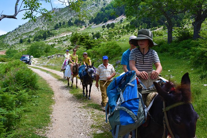 Jeep Safari Heavy Hiking Caravan Mule in Tomori Holy Mount - Hiking to Mount Tomorr