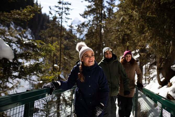 Johnston Canyon Frozen Waterfalls & Banff Backroads Wildlife Tour - Intimate Group Guarantee