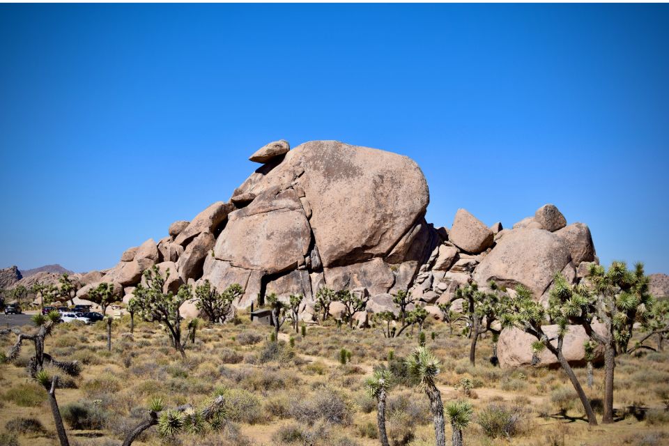 Joshua Tree National Park: Self-Driving Audio Tour - Tour Features