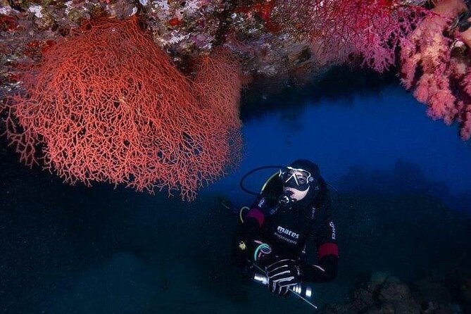 Journey of Diving or Snorkelling From a Boat - Meeting and Pickup Options