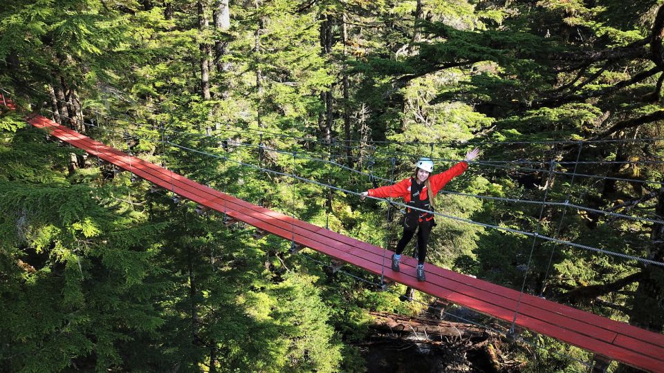 Juneau: Alpine Zipline Adventure - Rainforest Canopy Adventure