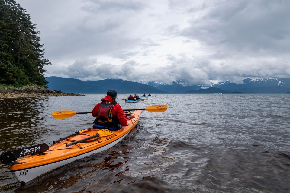 Juneau: Channel Islands Whale Watching Kayak Adventure - Exploring the Channel Islands