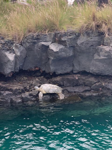 Kailua-Kona: Captain Cook Reef Catamaran Day Trip With Lunch - Catamaran Cruise