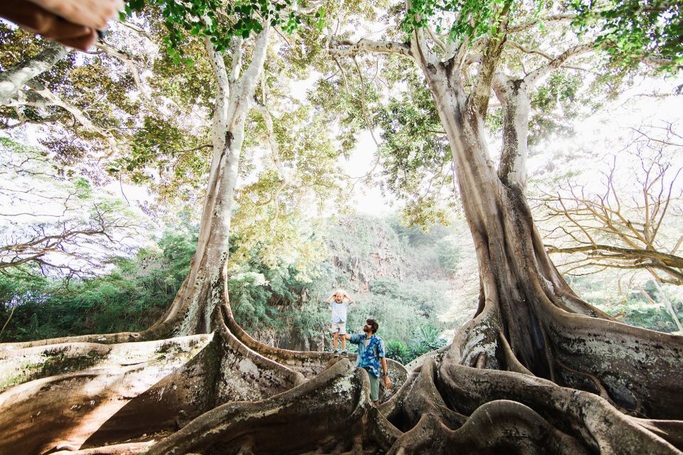 Kauai: Allerton Garden Guided Group Walking Tour - Activity Highlights