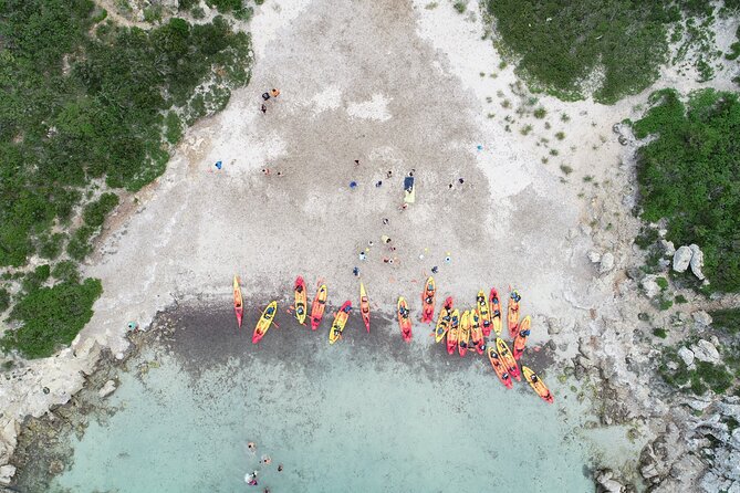 Kayak Tour and Snorkelling From Fornells - Kayaking Experience