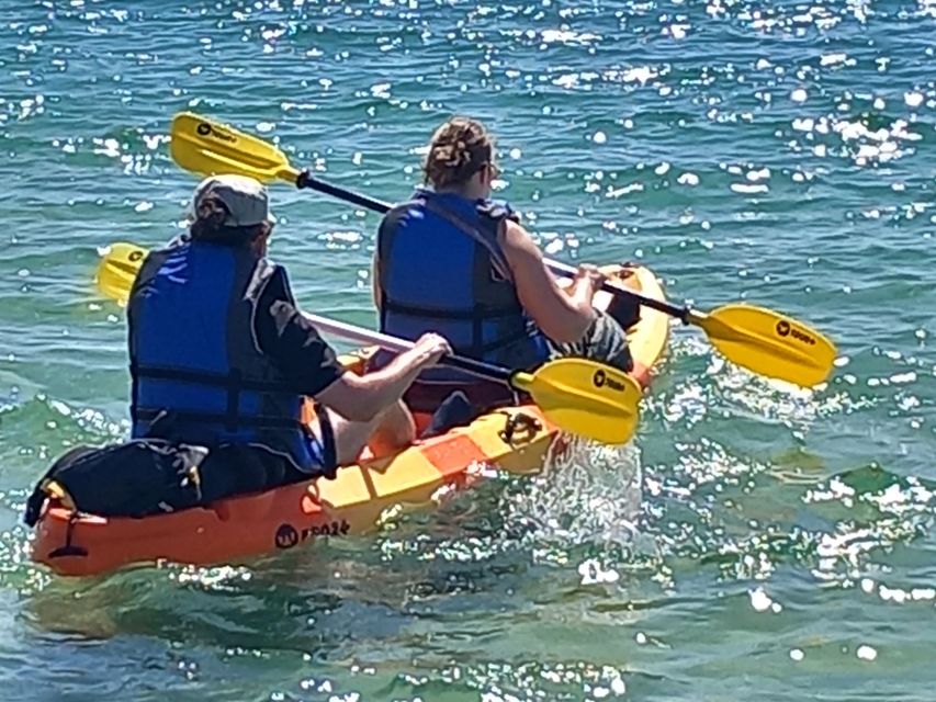 Kayak Tour in Ria Formosa - Olhão - Pricing and Booking