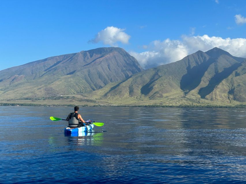 Kayak, Whale Watch And Snorkel At Turtle Town - Booking and Cancellation Policies