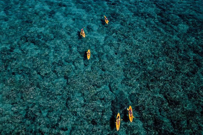 Kayaking Tour of Kailua Bay With Lunch, Oahu - Meeting and Logistics