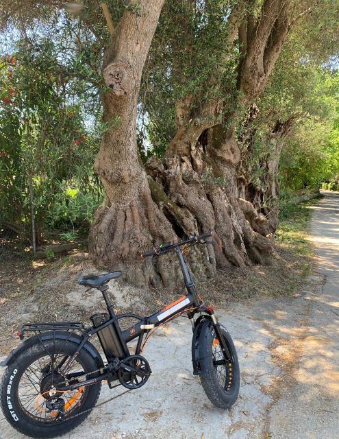 Kefalonia Farm Tour on E-Bikes - Itinerary Highlights