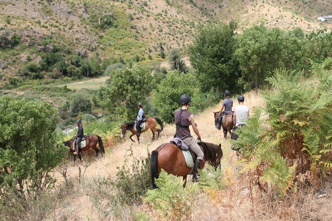 Kemer Horse Safari Experience With Free Hotel Transfer - Inclusions