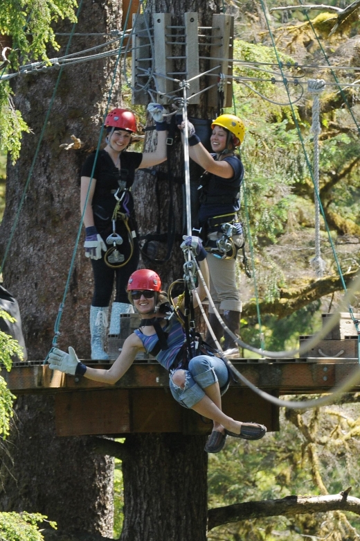 Ketchikan: Rainforest Zipline, Skybridge, & Rappel Adventure - Exploring the Tongass Rainforest