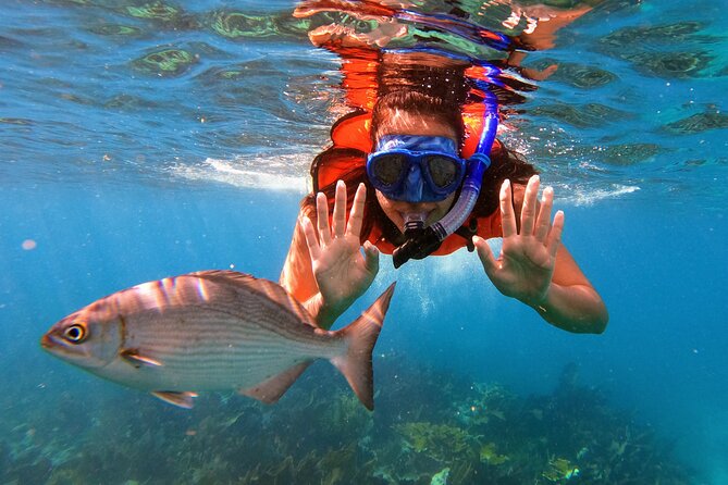 Key Largo Two Reef Snorkel Tour - All Snorkel Equipment Included! - Meeting and Accessibility