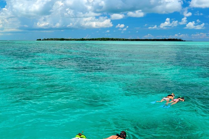 Key West Dolphin Watch and Snorkel Cruise - Key Activities Offered