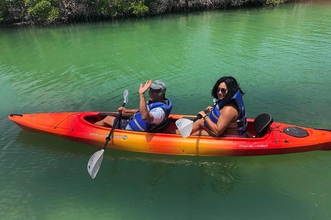 Key West Mangrove Kayak Eco Tour - Wildlife and Natural Environment