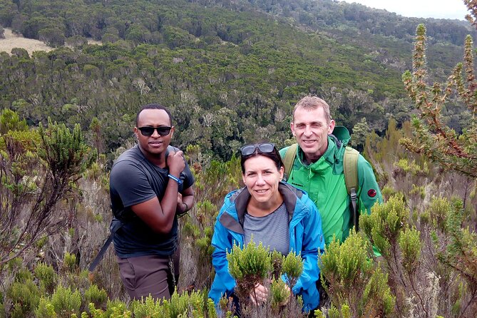 Kilimanjaro 1 Day Hike - Schedule and Availability