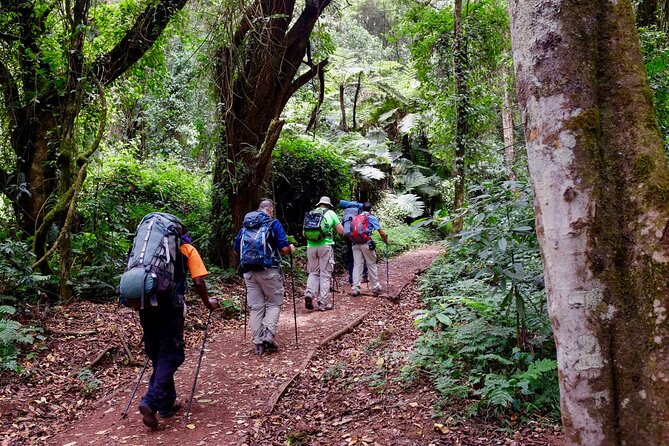 Kilimanjaro Private 2 Days Hiking Tour - Meeting and Pickup