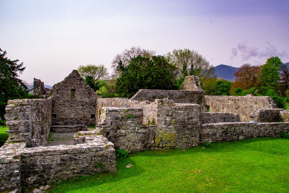 Killarney: Guided Boat Tour to Innisfallen Island - Boat Tour Experience