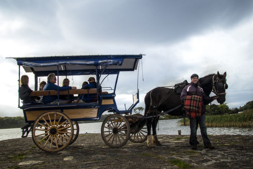 Killarney on Horse & Carriage: 1-Hour Jaunting Car Tour - Experience Highlights