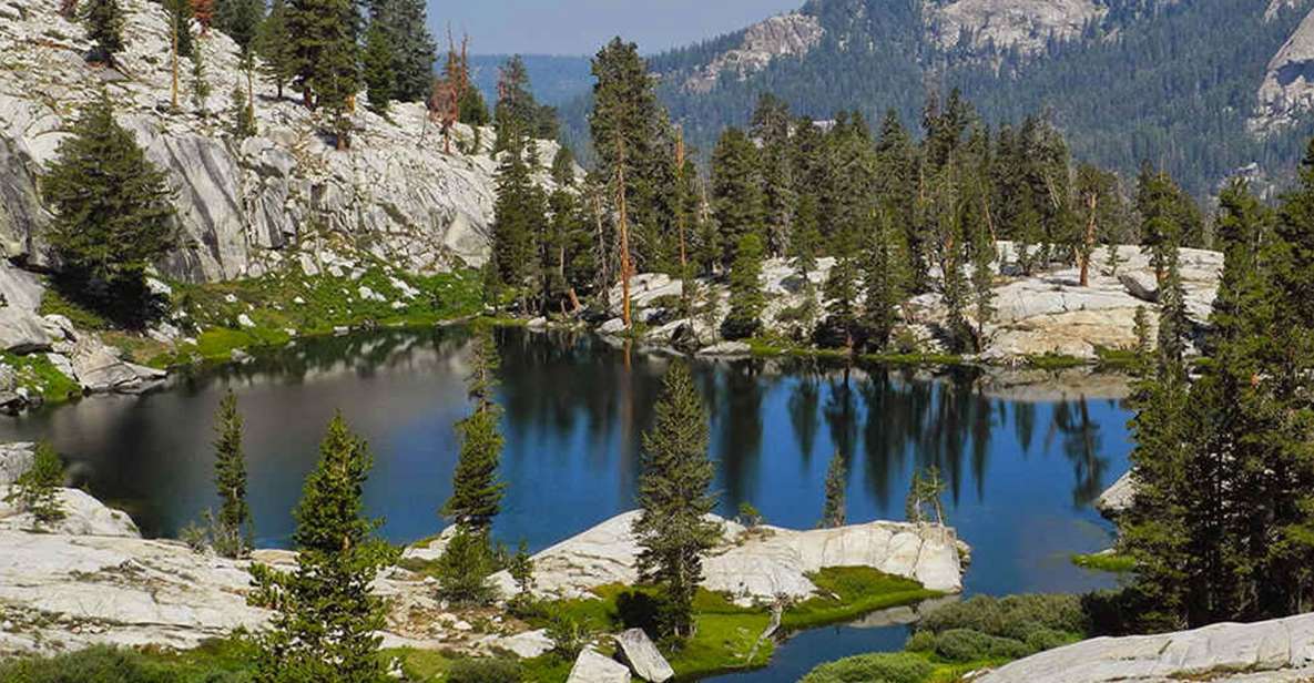 Kings Canyon National Park: Private Tour & Hike - Scenic Lookout Points