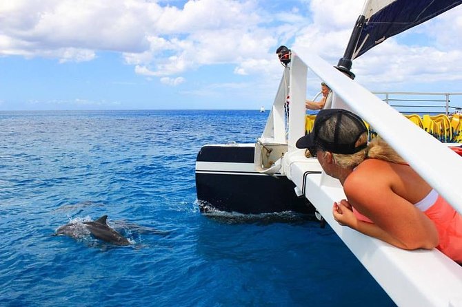 Ko Olina Catamaran Sail and Snorkel - Sailing and Snorkeling