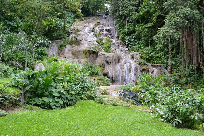 Konoko Falls and Tropical Garden Tour From Runaway Bay - Inclusions