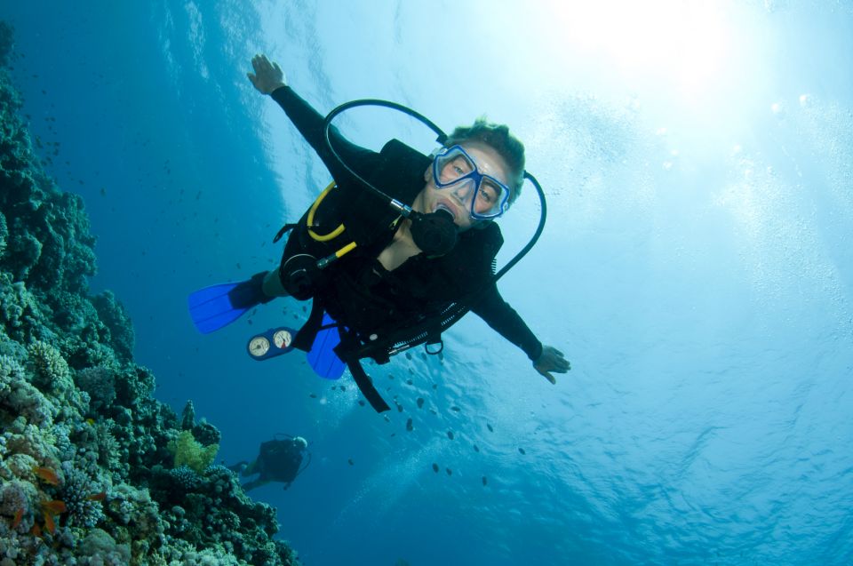 Kos: Beginner Scuba Diving at Pserimos Island - Pricing and Cancellation Policy