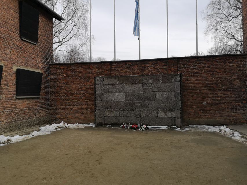 Krakow: Auschwitz-Birkenau Private Chauffeur Service - Auschwitz-Birkenau Tour Highlights