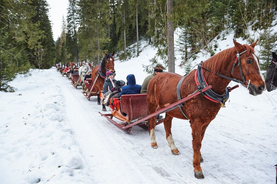 Kraków Frame; Tatra Mountain Sleigh Ride in Zakopane - Itinerary Details