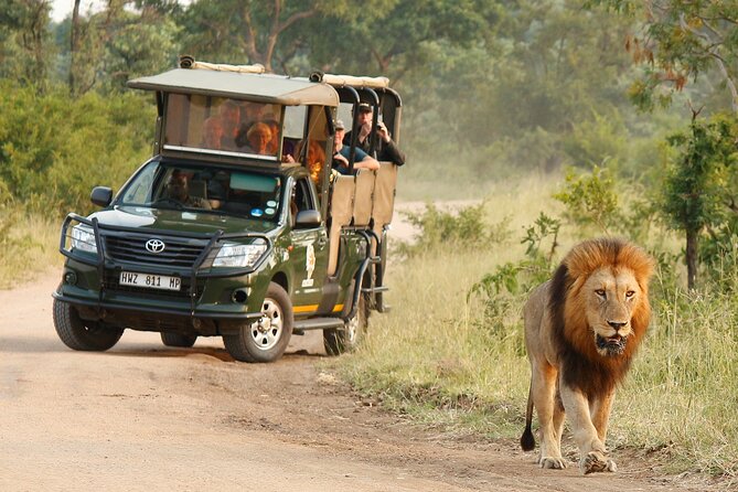 Kruger National Park Afternoon Private Safari - Inclusions and Pricing