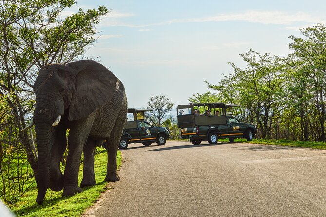 Kruger National Park Full Day Private Safari - Inclusions