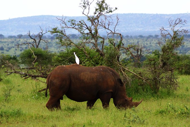 Kruger Park 2-Day Safari From Maputo (Open-Backed Safari Vehicle) - Itinerary and Inclusions