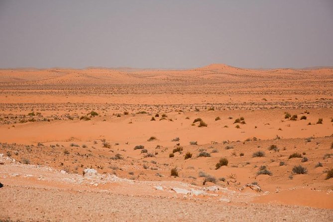 Ksar Ghilane 1 Day: the Hot Spring and the Homestay - Quad and Camel Rides on Dunes