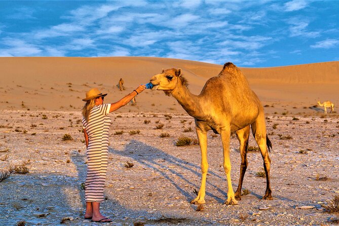 Kuwait Desert & City Half Day Private Tour Local Licensed Guide - Desert Adventure