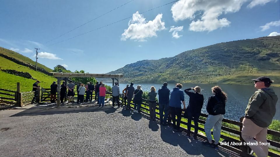 Kylemore, Sheep Farm and Connemara Private Limousine Tour - Itinerary Highlights