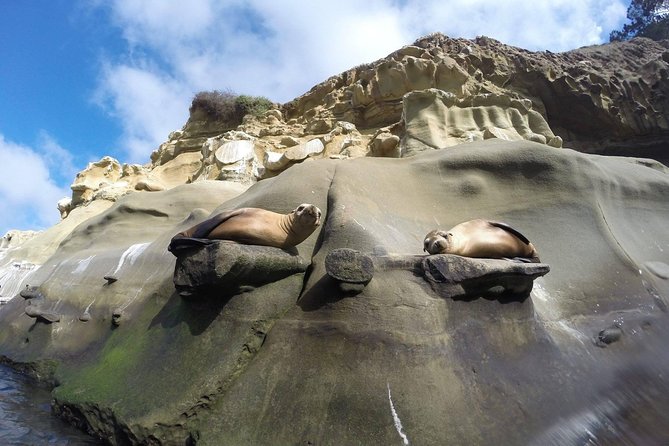 La Jolla Sea Caves Kayak Tour For Two (Tandem Kayak) - Tour Details and Equipment