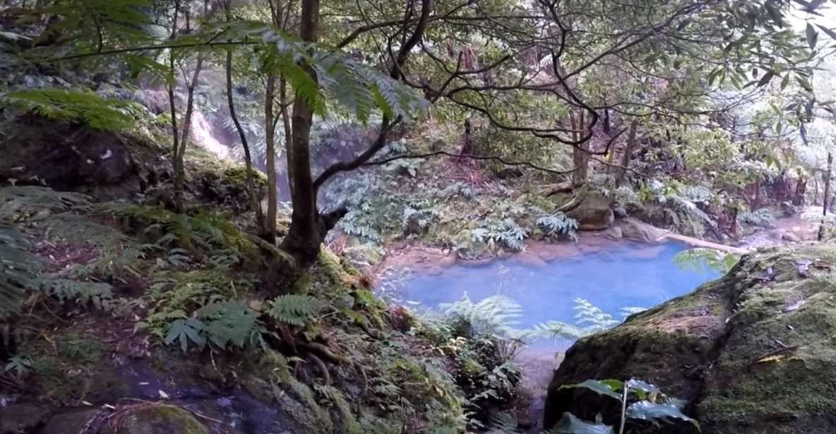 Lagoa Do Fogo: Guided Volcano Geo Tour W/ Hotsprings Bathing - Itinerary and Experience