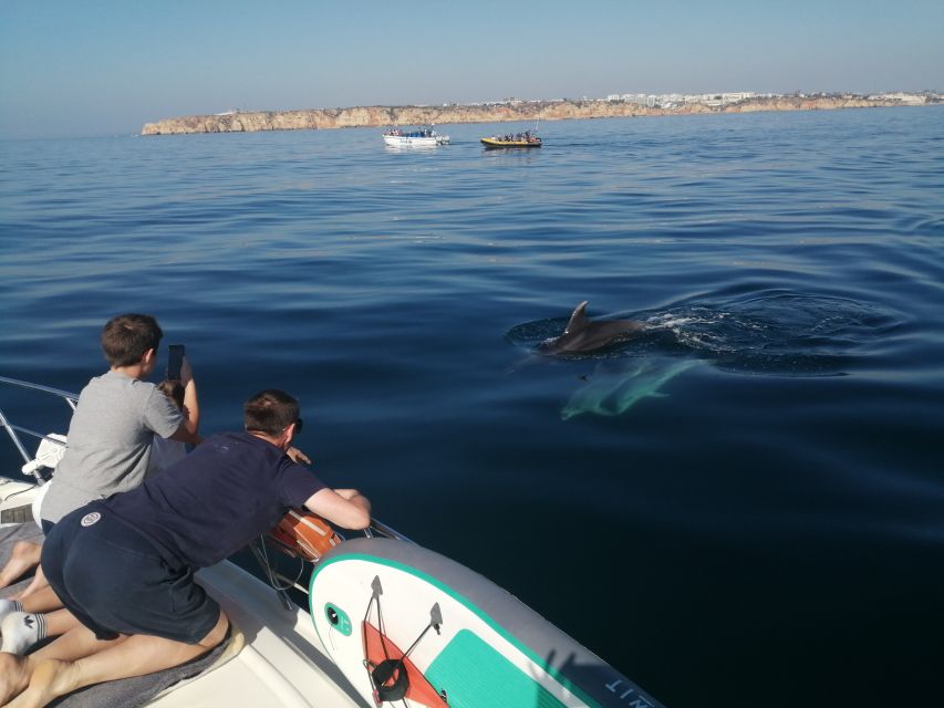 Lagos: 2-Hour Evening Champagne Cruise - Highlights of the Algarve Coastline