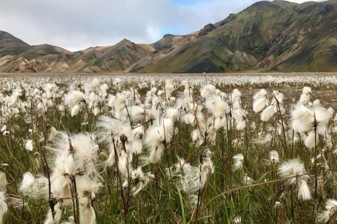 Landmannalaugar by Super Jeep - Vibrant Geothermal Hot Springs