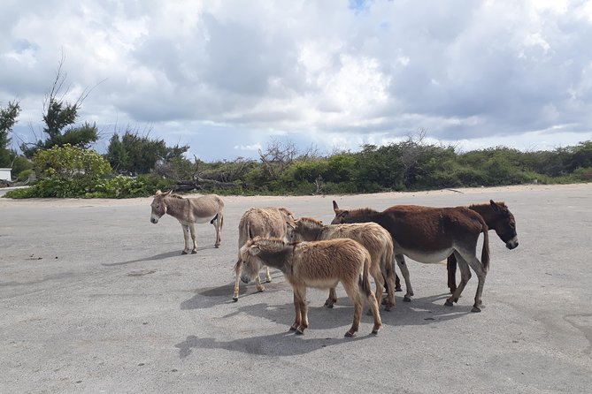 Landmarks of Grand Turk - Host Response and Customer Engagement