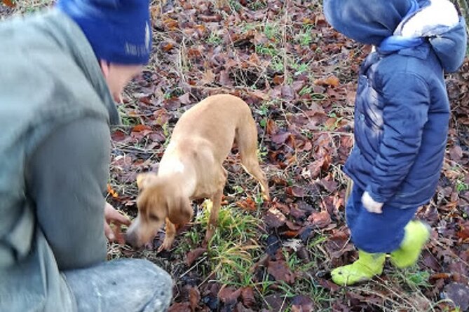 Langhe Truffle Hunting Experience - Piedmont Wine Region