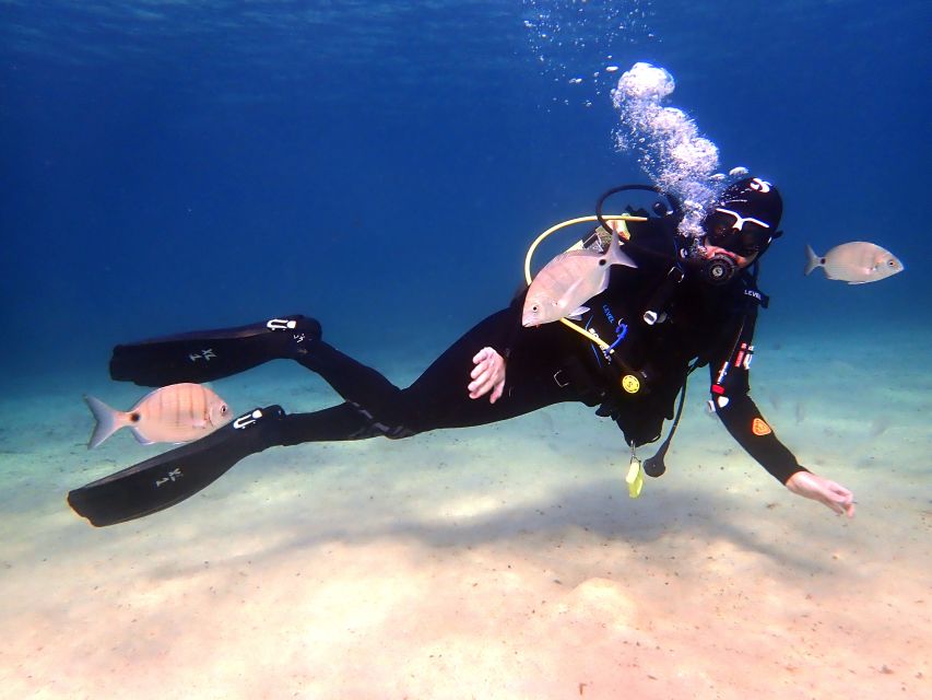 Lanzarote: Beginner Diving Course Costa Teguise (2 Dives) - Pricing and Inclusions