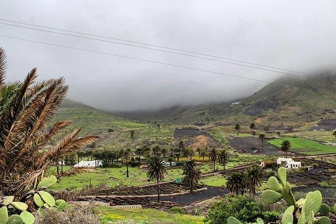 Lanzarote Highlights. Private Tour With Pickup (Price per Vehicle, Not P.P.) - Hike the Cliffs of Los Hervideros