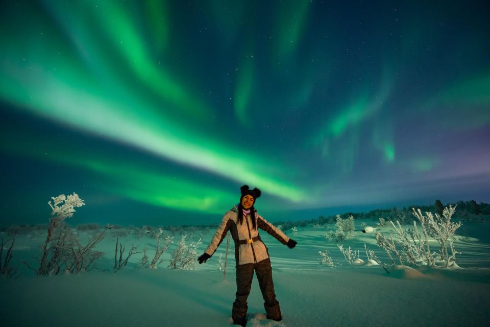 Lapland: Aurora Borealis BBQ Tour - Tour Highlights