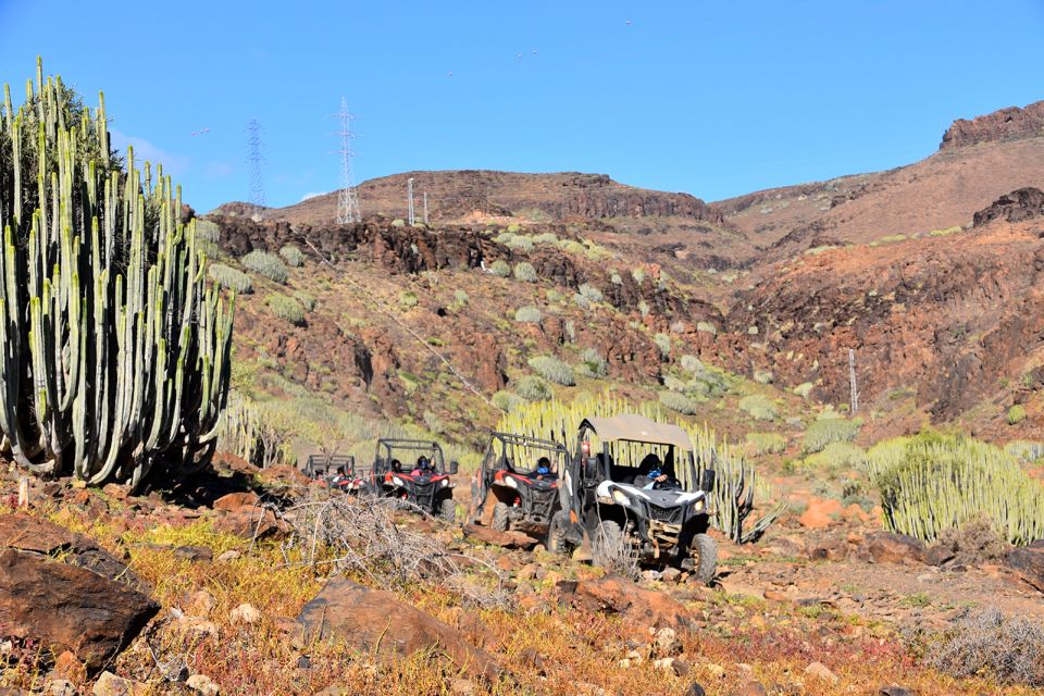 Las Palmas: Gran Canaria Guided Buggy Tour - Experience Highlights